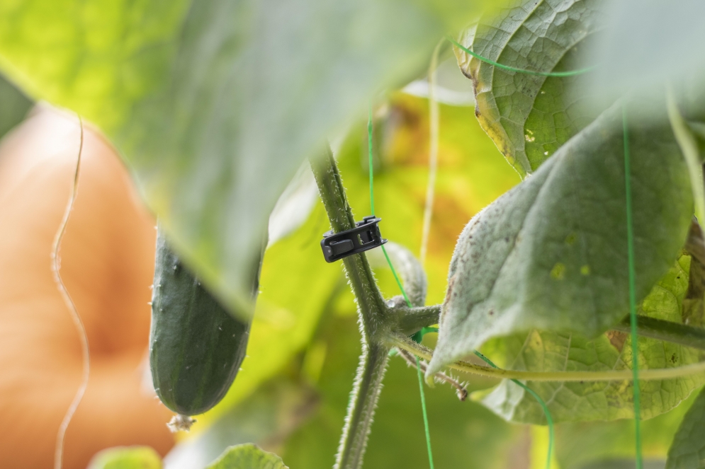 ARaymond has developed a new line of biodegradable fastening solutions for agricultural use.
